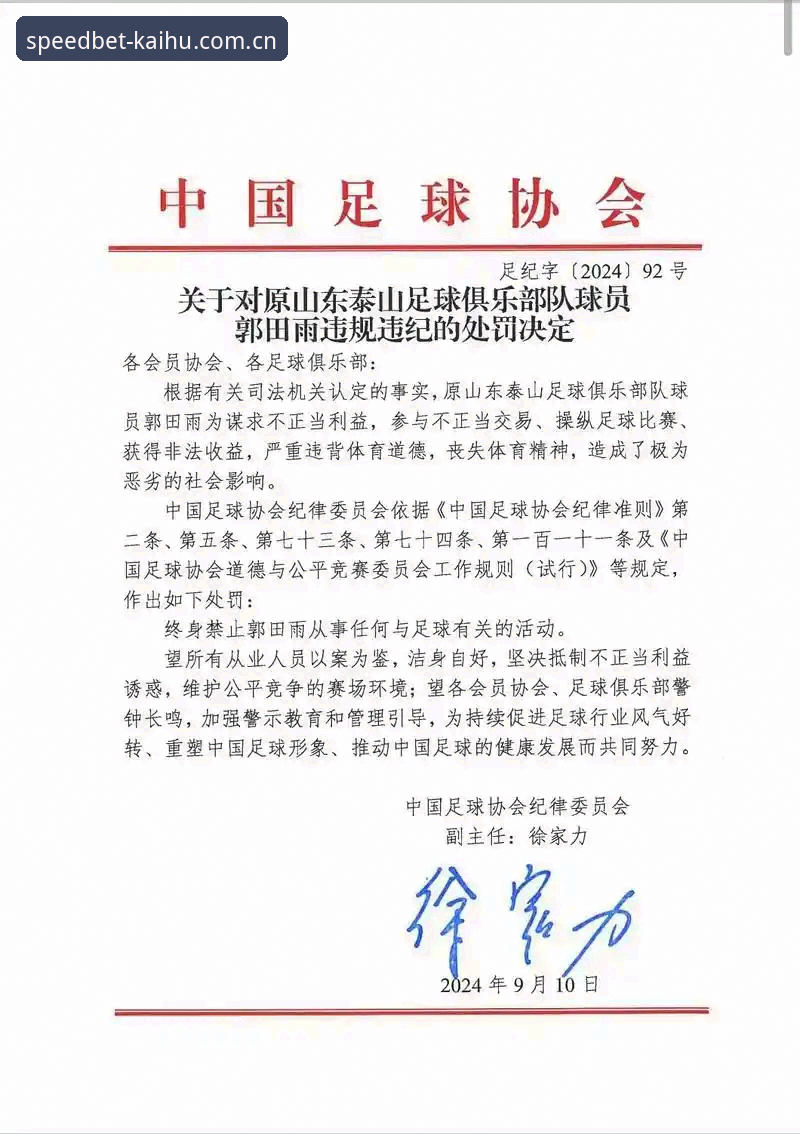 世界杯注册流程 中国足协第三批禁足名单最新动态:17人终身禁赛,48人遭重罚,行业整顿再升级
